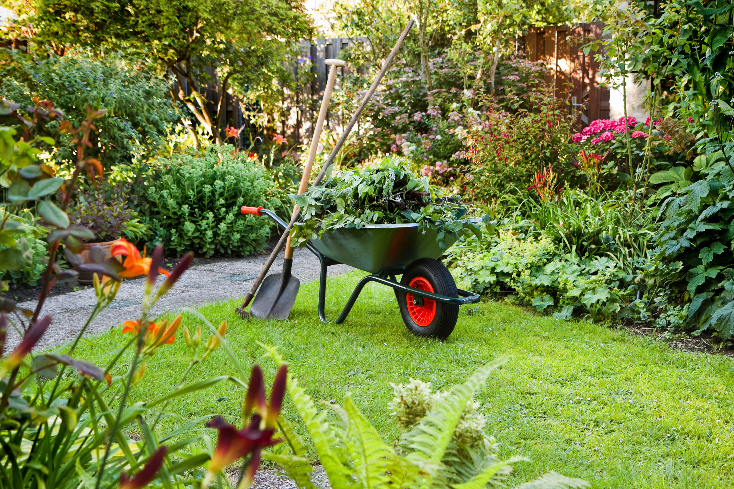 Yard cleaning. Цветы для сада и огорода. Садовник в саду. Садовая тачка с цветами. Техника для сада и огорода.
