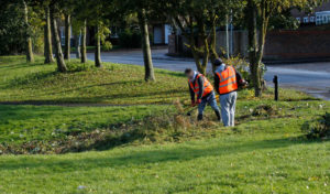 community-payback-cleaning-westlea-park.jpg